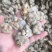 云南文山三七产地批发无差价水洗足干足头量大从优