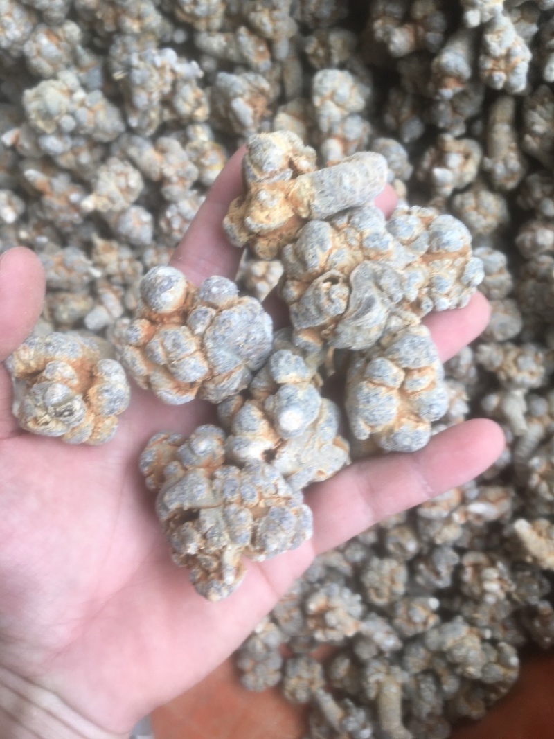 云南文山三七产地批发无差价水洗足干足头量大从优