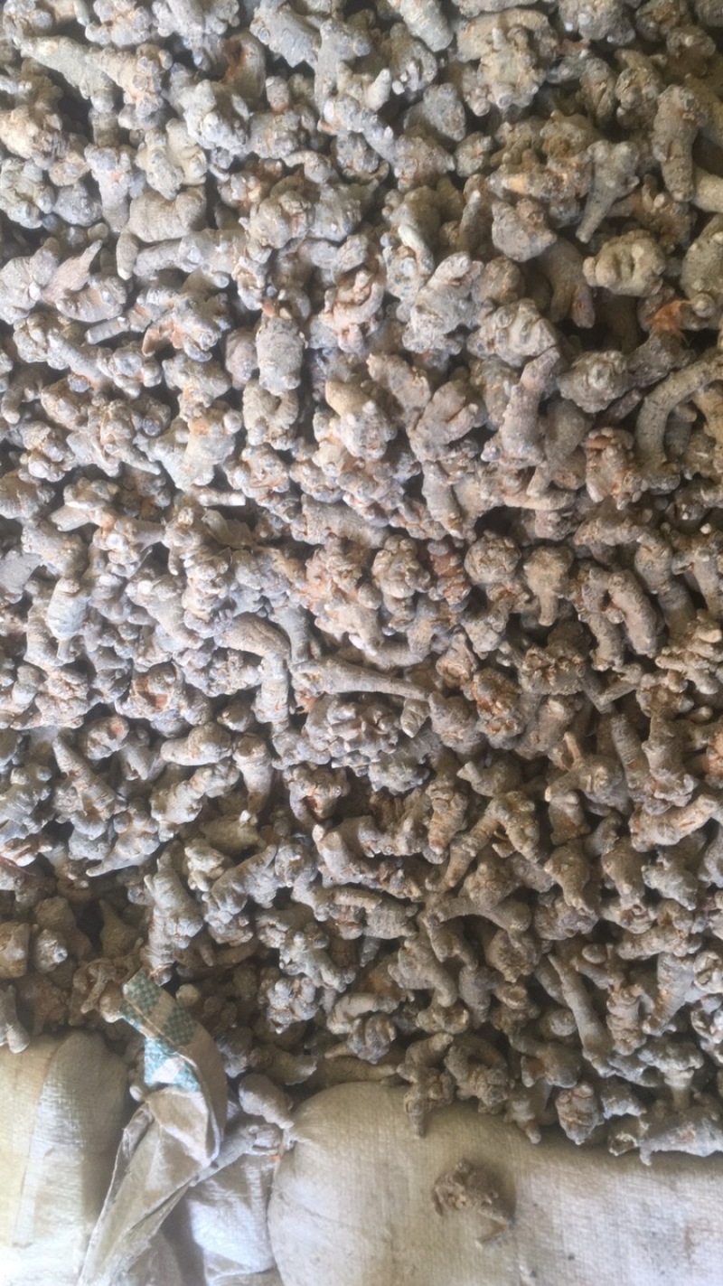云南文山三七产地批发无差价水洗足干足头量大从优