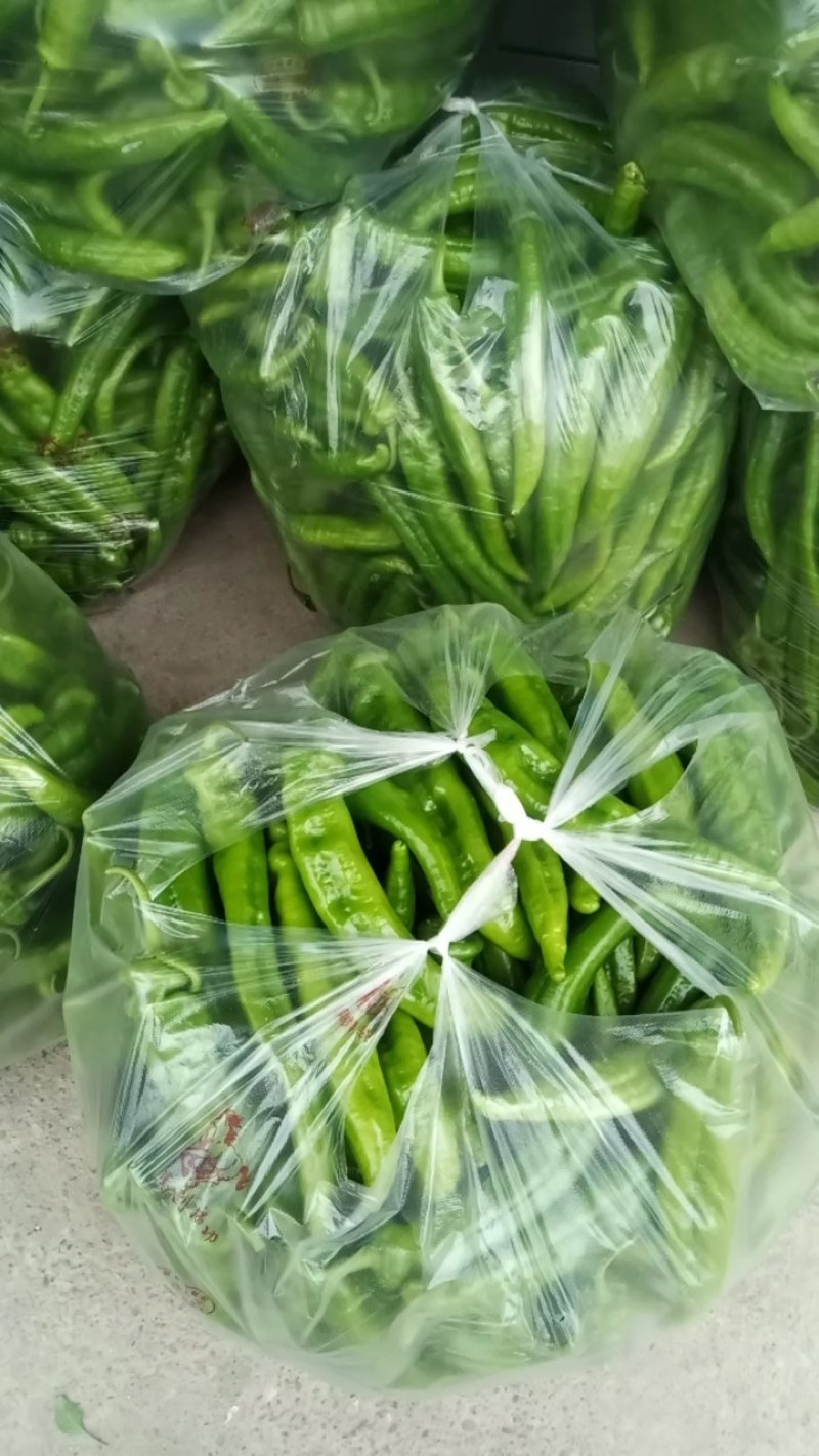 鲜尖椒