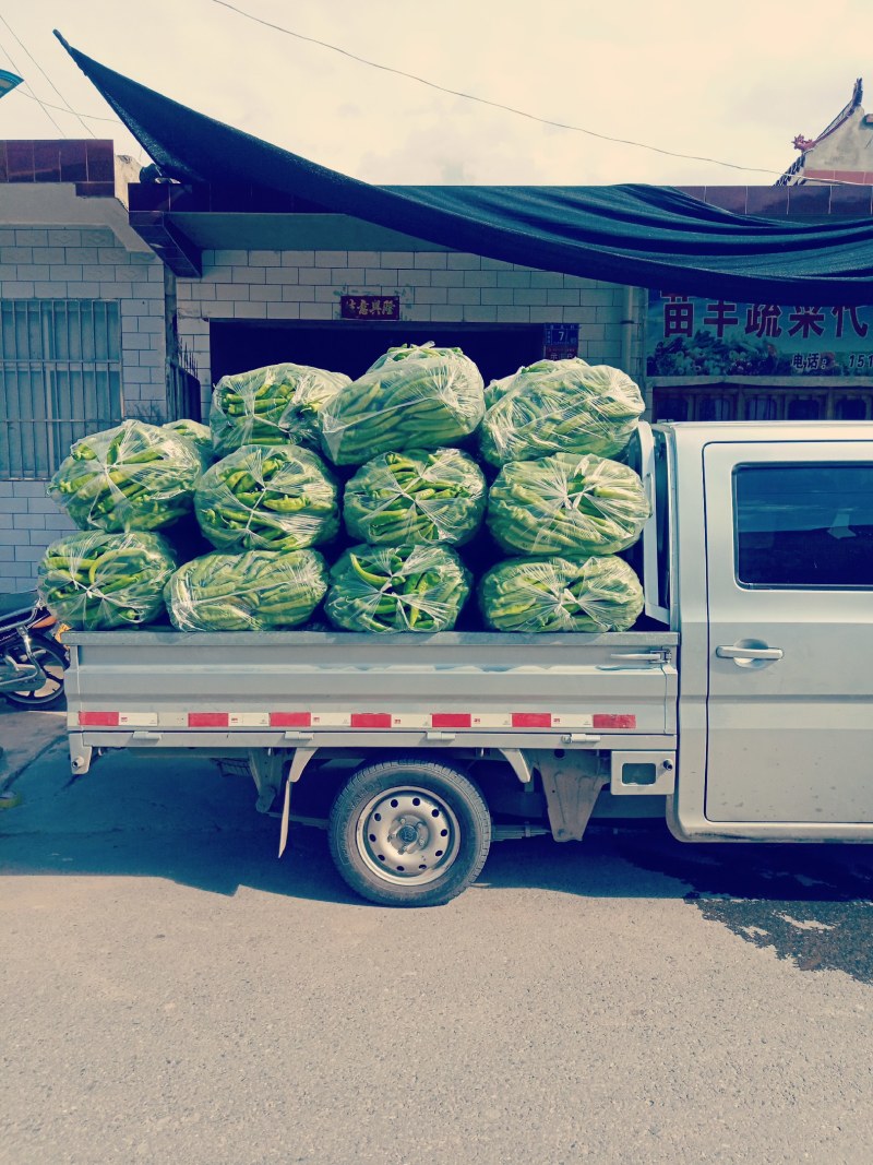 鲜尖椒