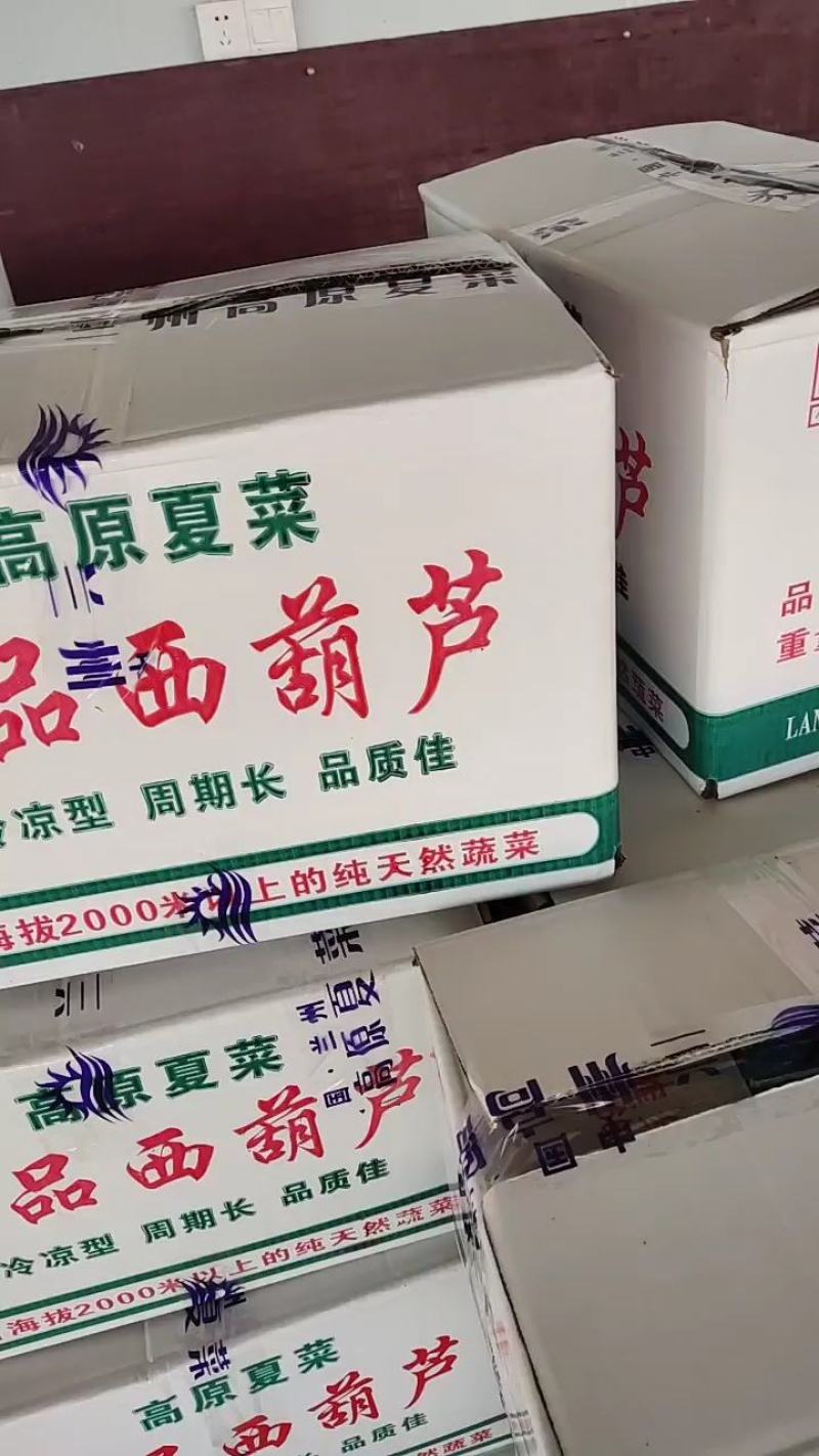 西葫芦大量有货，需要的联系