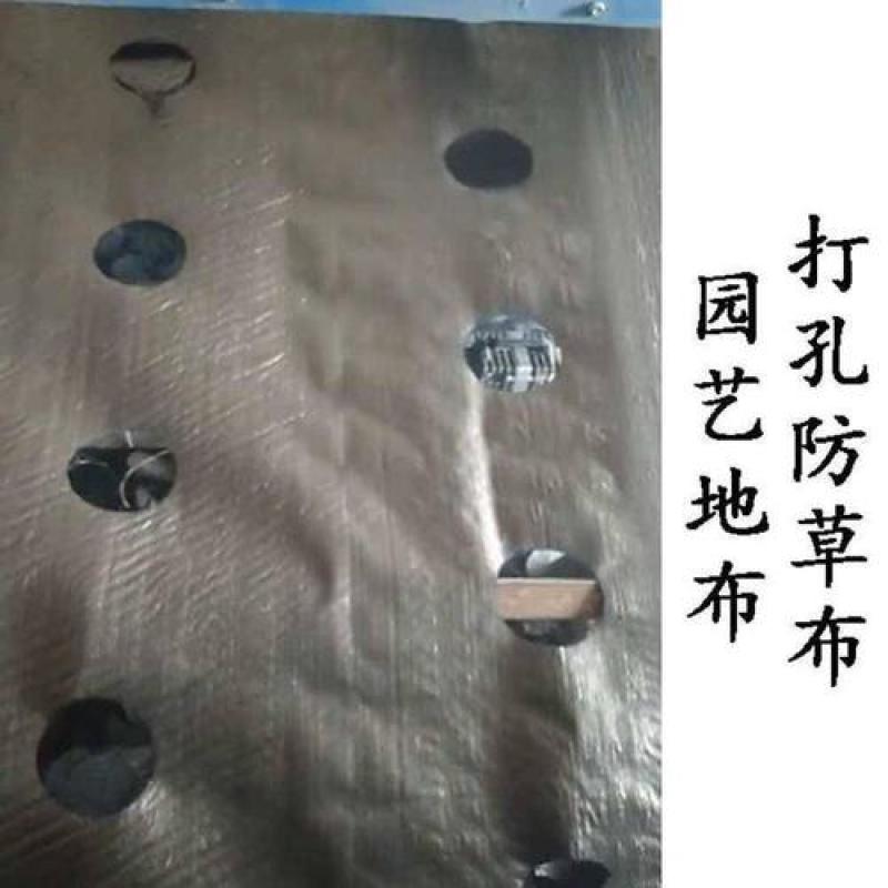 2排打孔防草布厂家，除草布一平米价格免费加工