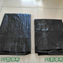 PE防草布价格，除草布厂家一亩地多少平方米的价格