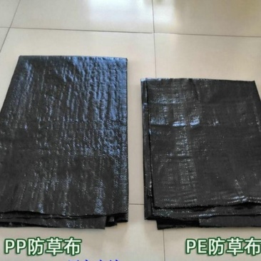 PP防草布生产厂家，配送16厘米地钉10箱，20箱