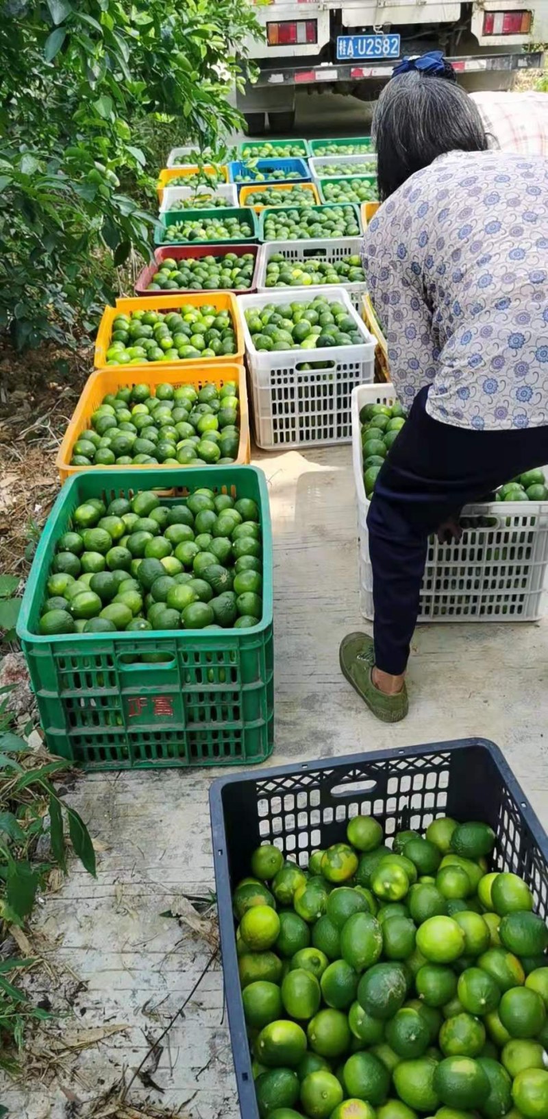 有广东香水，有台湾子弹头香水，青柠檬一级果