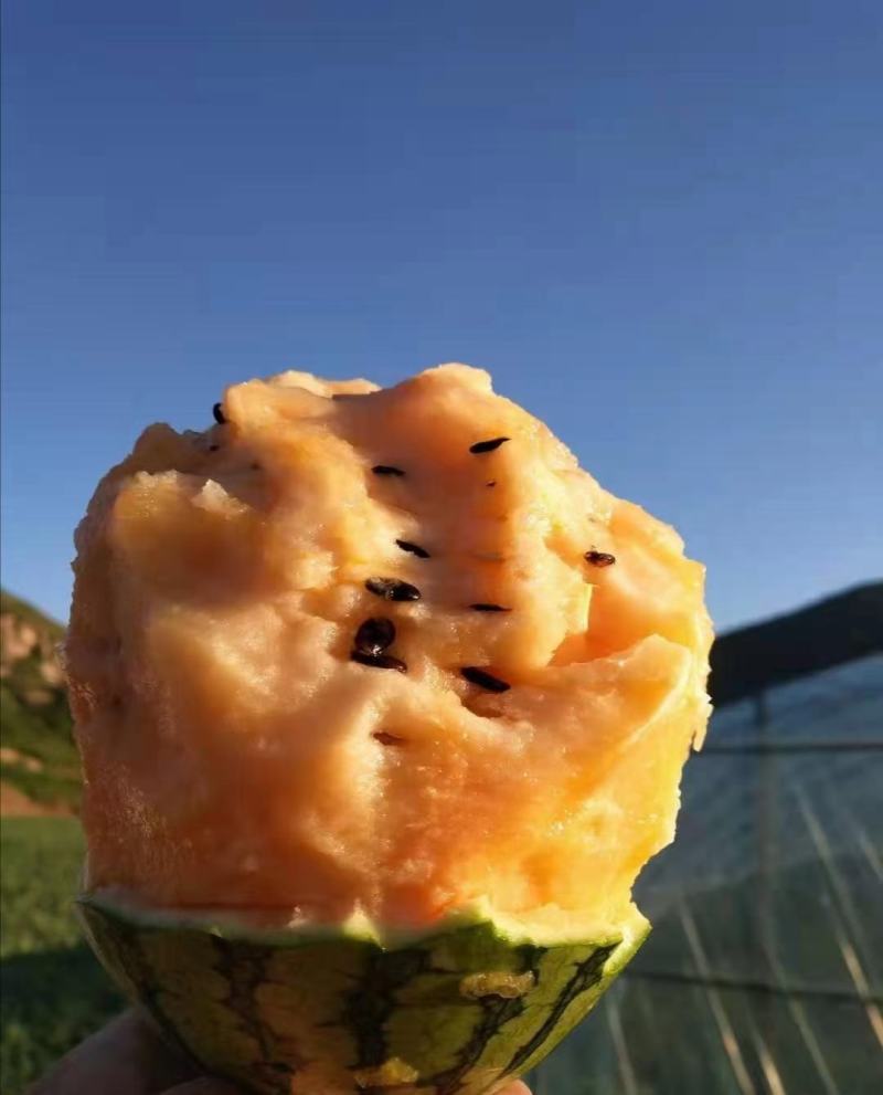 炫彩礼品西瓜