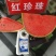 红珍珠西瓜