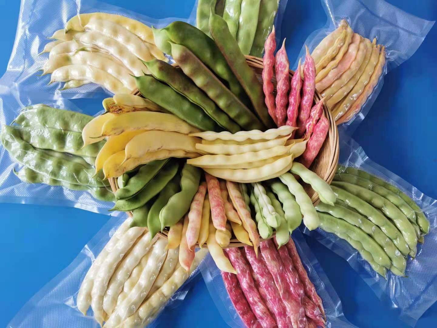 豆角与根茎类蔬菜对比图
