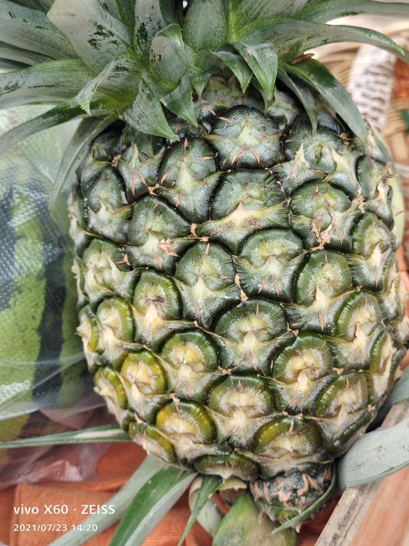 凤梨