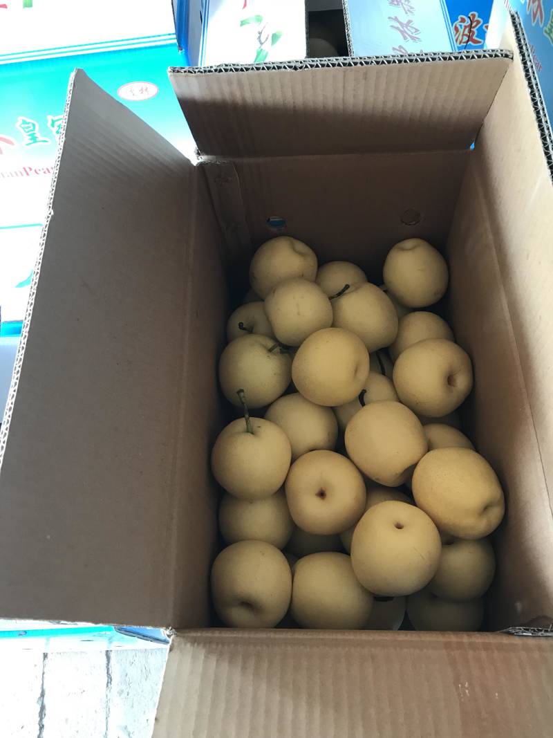 河北皇冠梨清甜可口，各大商超市场对接，汁水甘甜货源充足