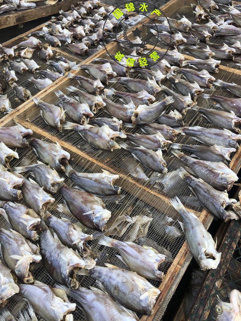 厂家一手货源淡水鱼鲈鱼干加州卢鱼干摆地摊跑江湖