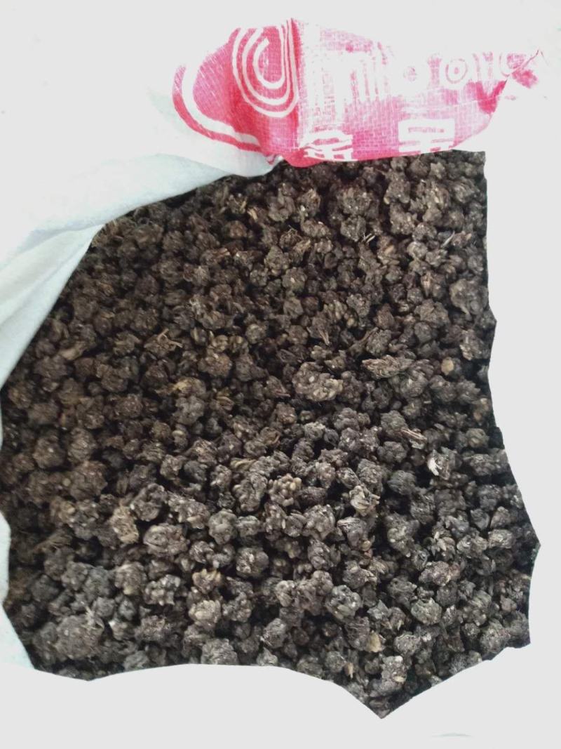 中国猫爪草之乡新货水洗猫爪草批发直销