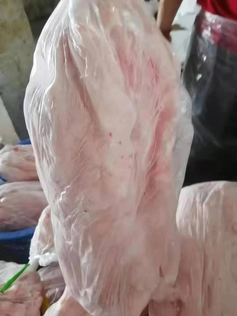 板油