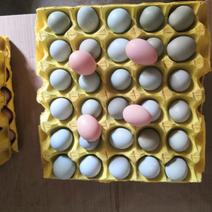 【优质】初生绿壳鸡蛋，自家养殖厂，发货新鲜，质量有保证