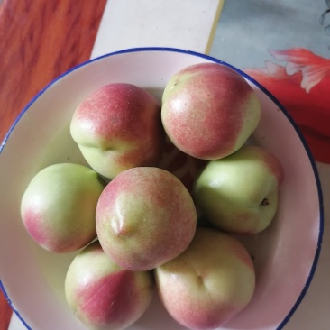 珍珠枣油桃