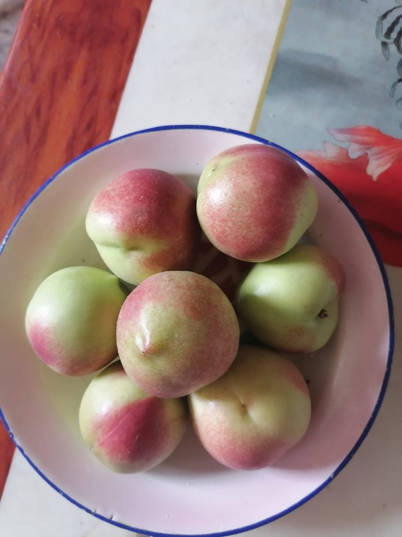 珍珠枣油桃