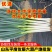 正宗山东大葱新鲜铁杆长葱量大无忧