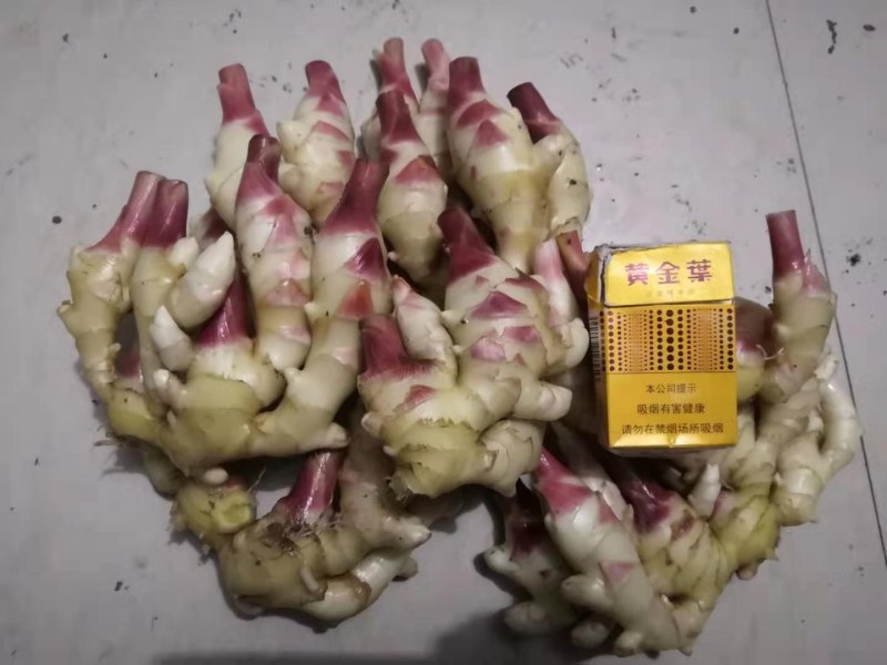 大姜，二黄姜，小姜仔姜