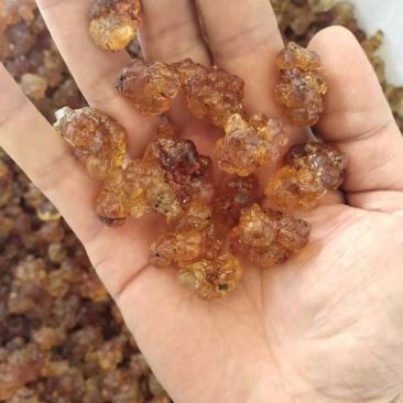 水洗桃胶杂质少黄黄带红红带黄红胶可按要求供应