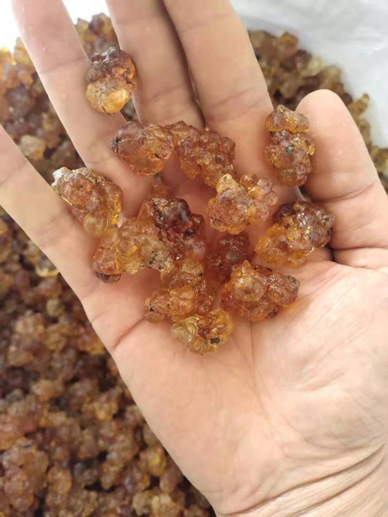 水洗桃胶杂质少黄黄带红红带黄红胶可按要求供应