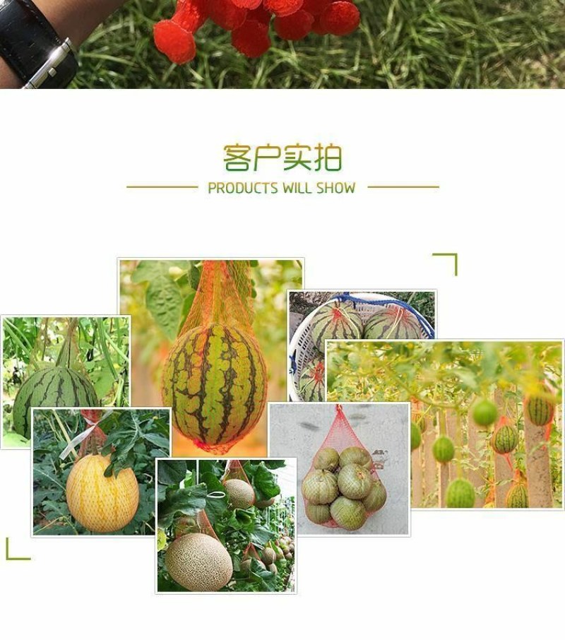 大棚吊西瓜网兜包邮挂西瓜的塑料编织袋小网眼袋套瓜尼龙网袋