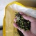 江西野生木姜子又名山苍子，大量供应，整车，每天供应十吨
