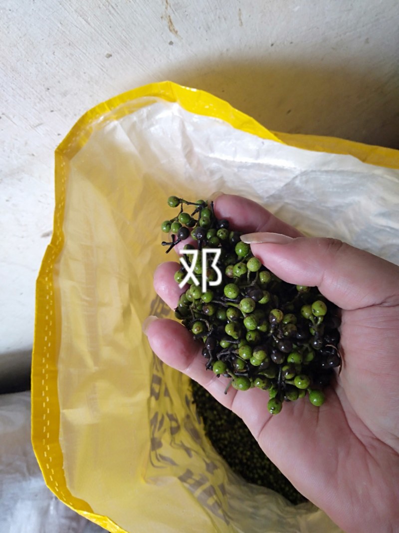 江西野生木姜子又名山苍子，大量供应，整车，每天供应十吨
