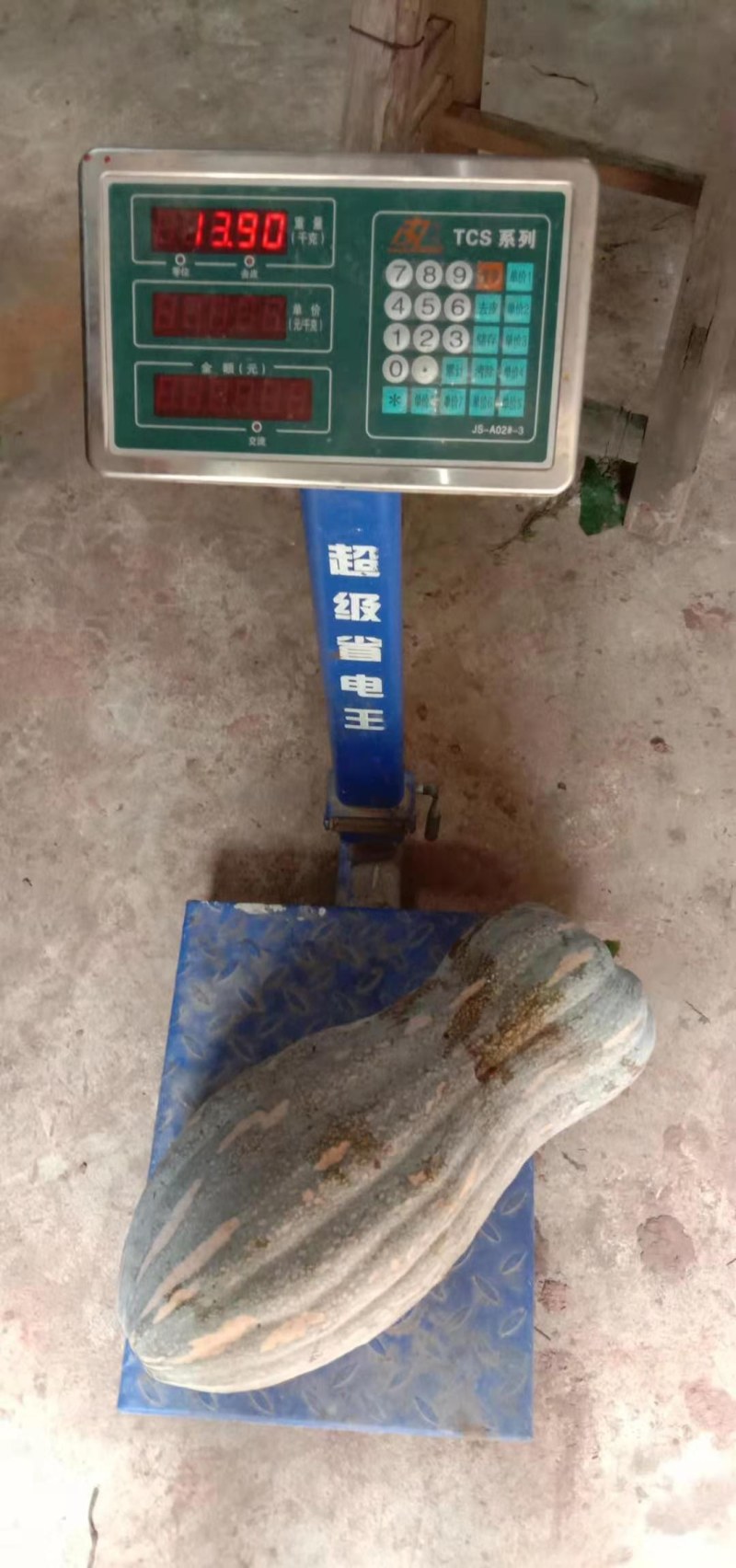 南瓜