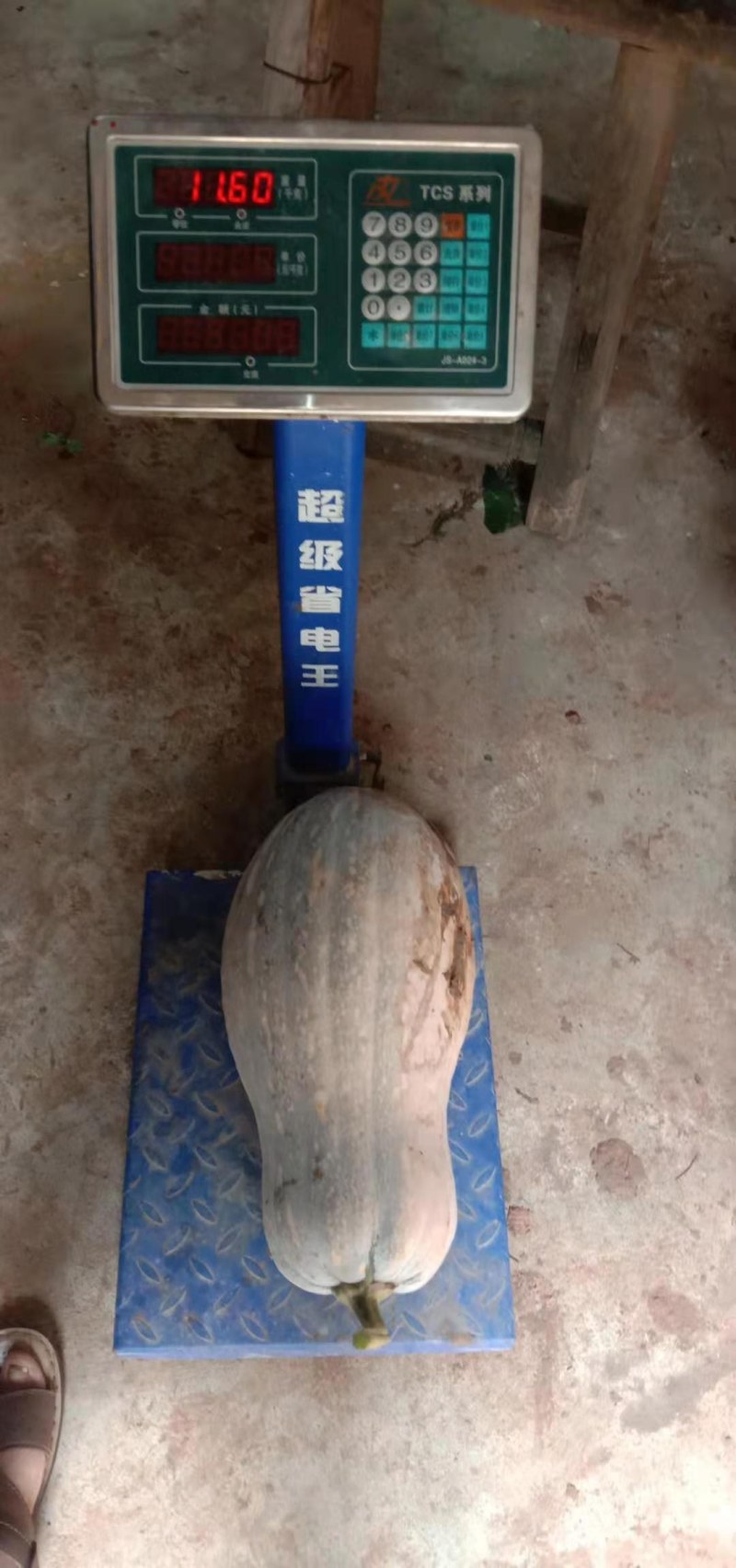 南瓜
