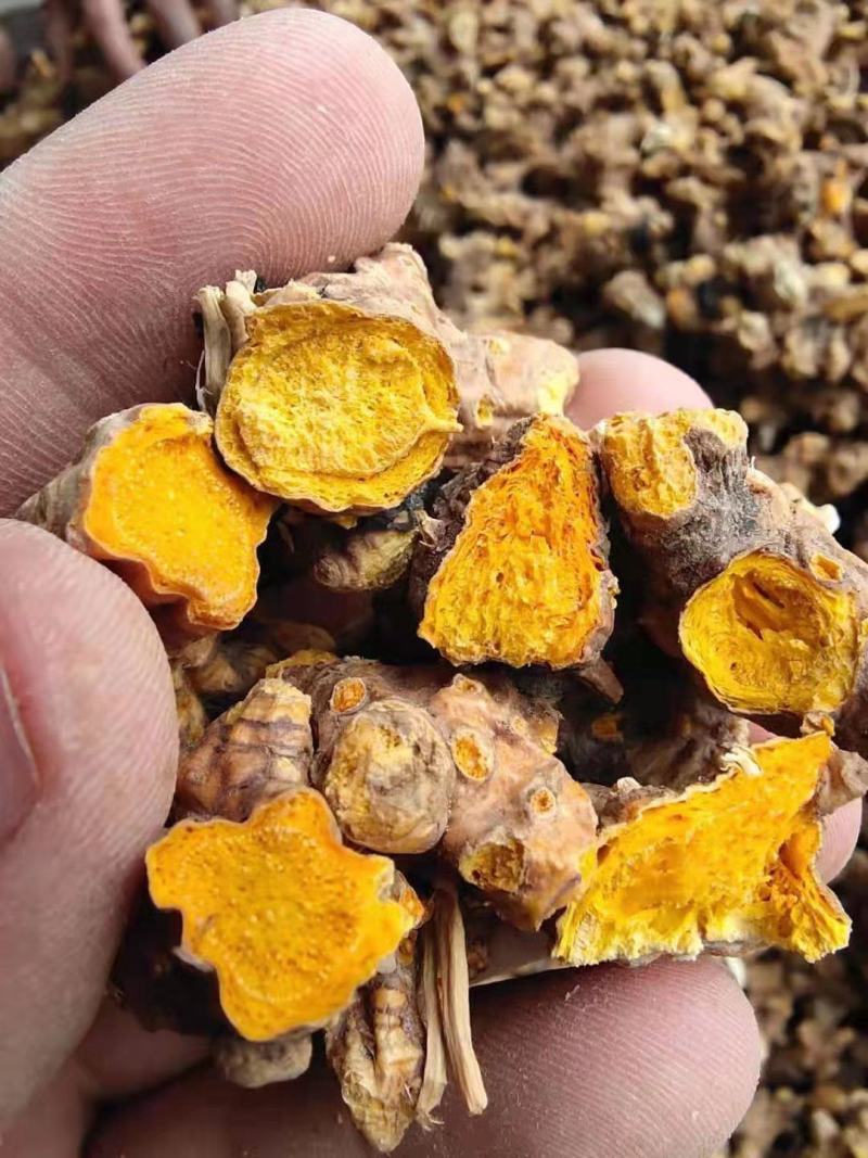 出售纯新射干种子颗粒饱满种植简单免费指导管理省事