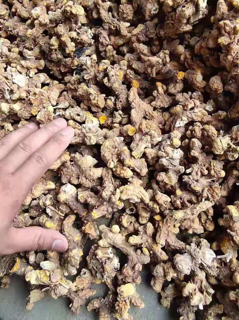 出售纯新射干种子颗粒饱满种植简单免费指导管理省事