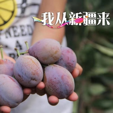 2025年新疆法兰西西梅，喀什西梅，新鲜好吃一件代发包邮