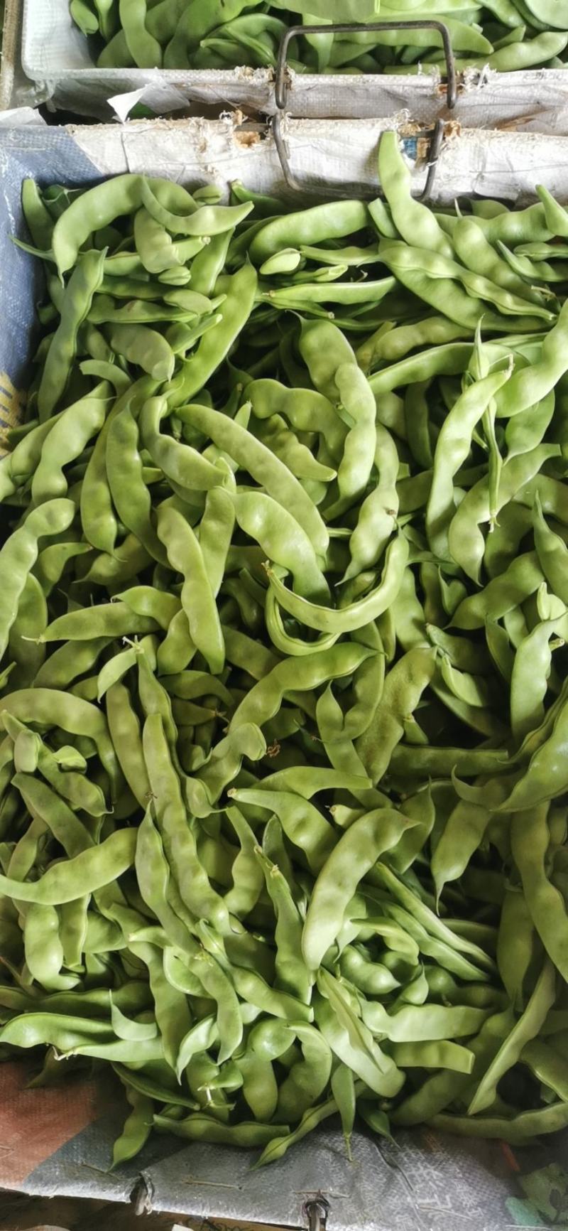 将军油豆角