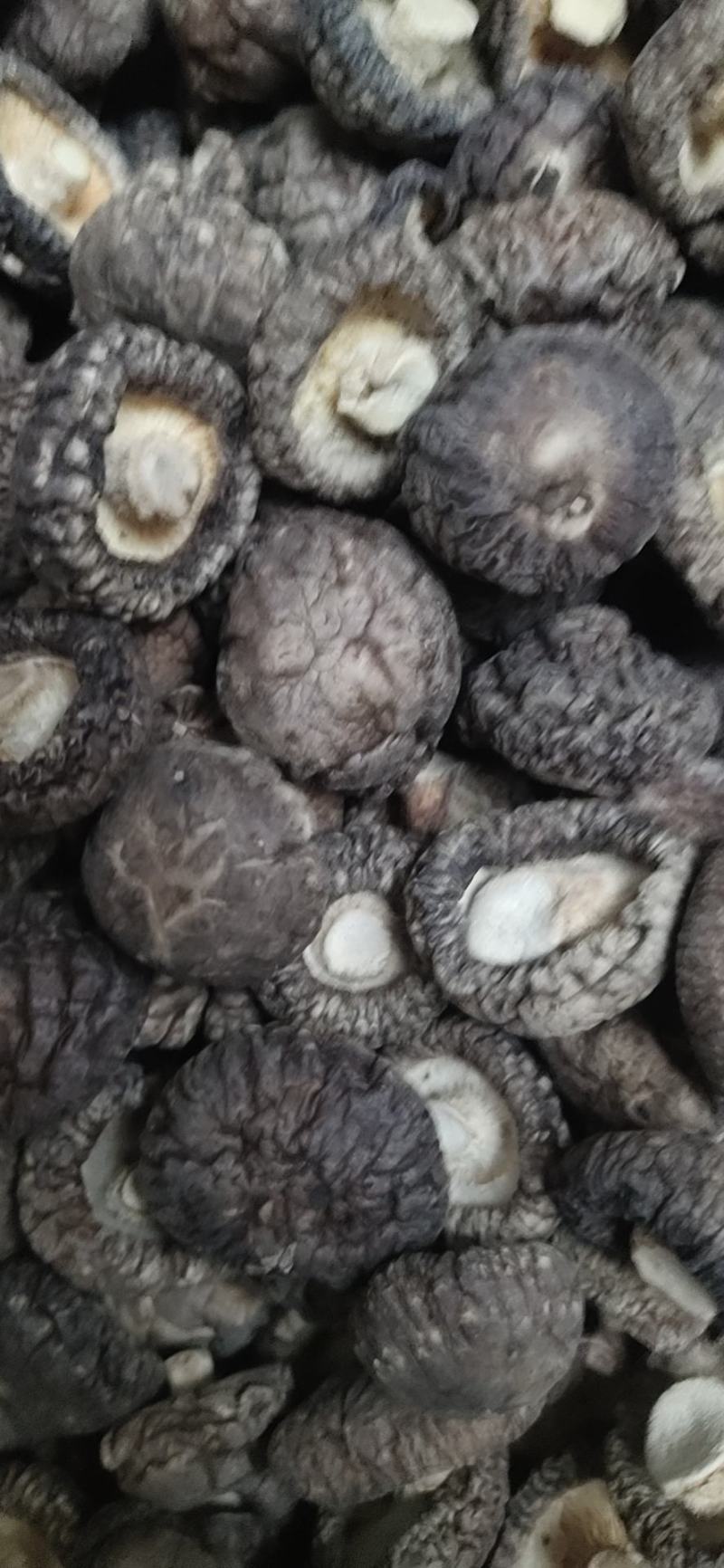 【干香菇】肉厚颜色干度质量好！精选冬菇大小均匀，规格齐全