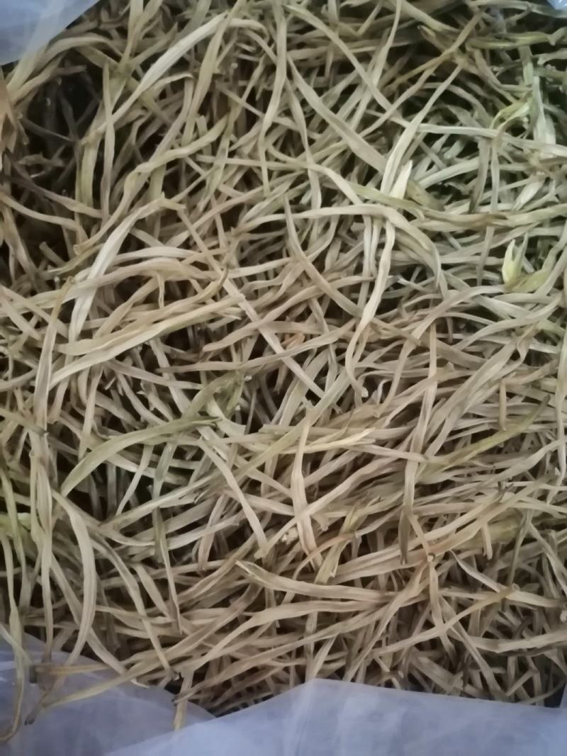 渭南市合阳黄花菜
