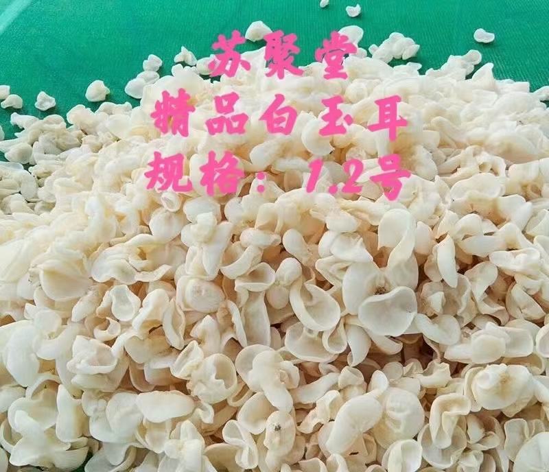 2021新货白玉耳，白木耳，新品种，泡发率高！欢迎合作咨
