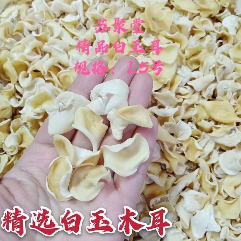 2021新货白玉耳，白木耳，新品种，泡发率高！欢迎合作咨