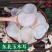 2021新货白玉耳，白木耳，新品种，泡发率高！欢迎合作咨