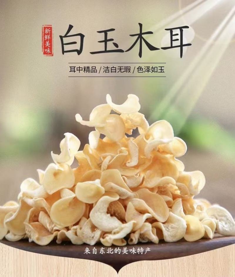 2021新货白玉耳，白木耳，新品种，泡发率高！欢迎合作咨