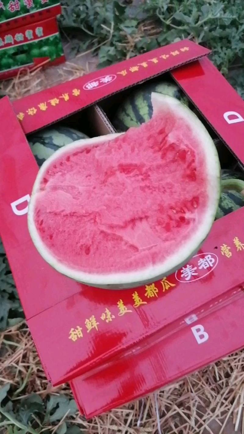 河南大棚美都西瓜，货量充足，甜度高口感好，质量负责到底