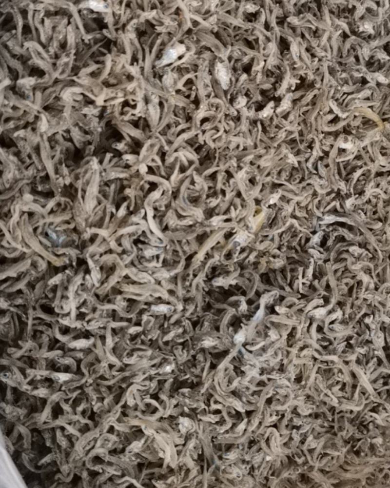 丁香鱼干