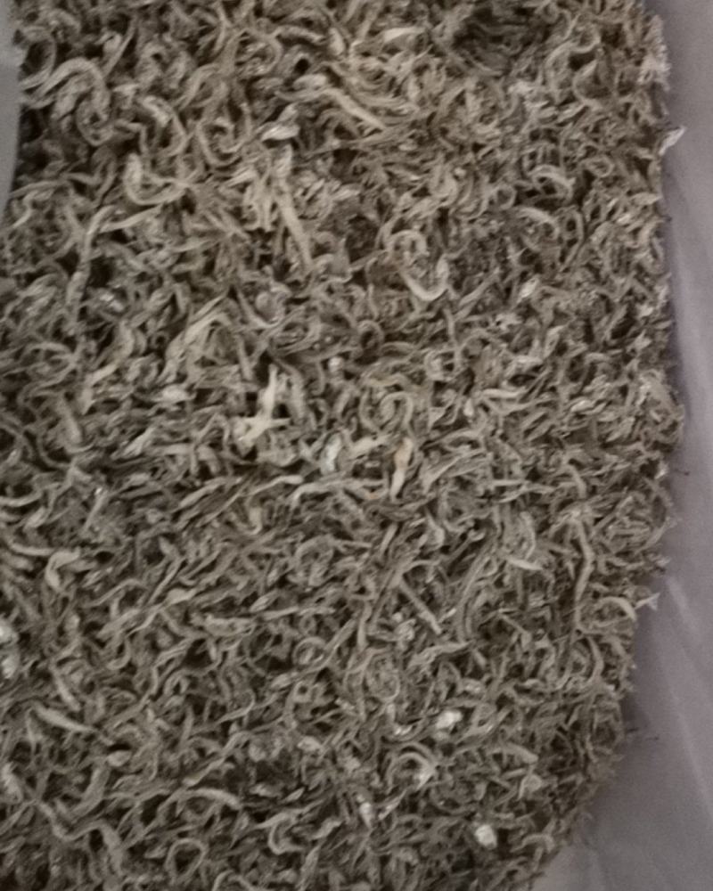 丁香鱼干