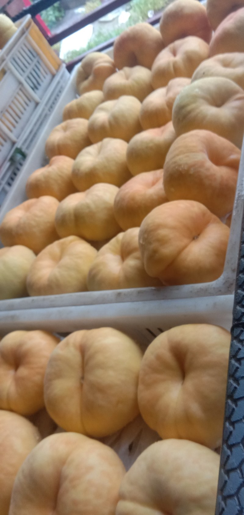 黄毛蟠