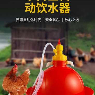 鸡用自动饮水器普拉松鸭鹅喂水器小鸡加水壶养鸡养殖设备