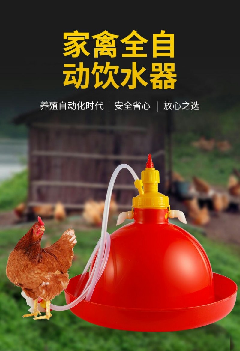 鸡用自动饮水器普拉松鸭鹅喂水器小鸡加水壶养鸡养殖设备
