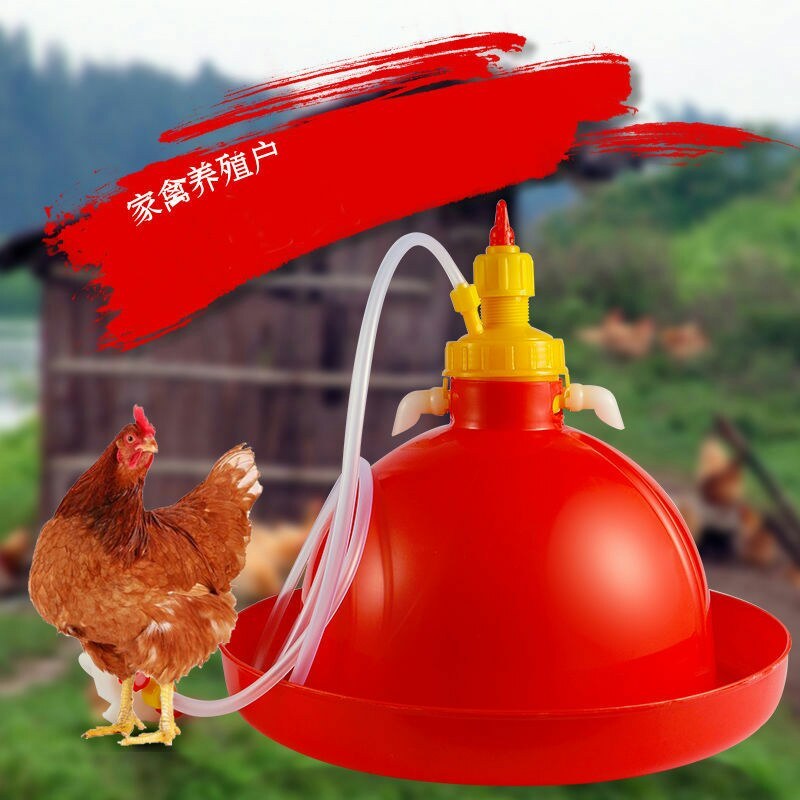 鸡用自动饮水器普拉松鸭鹅喂水器小鸡加水壶养鸡养殖设备
