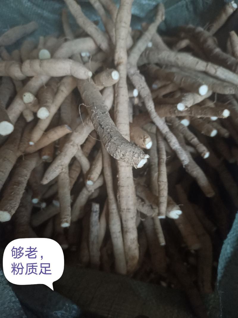牛大力鲜货（只挖五年以上的大叶牛大力）都是按规格分好等级