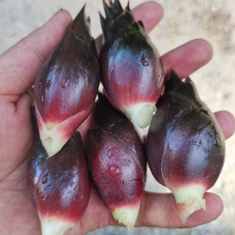 精品大果个大无花