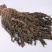 浙江宁波特产雪里蕻梅干菜整颗脱水梅干菜扣肉锅盔的不二选择